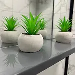 Botanic * سراييفو