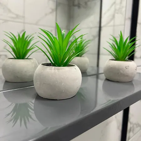 Botanic * Sarajevo